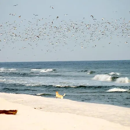 White Pearl 2.09 Timmendorfer Strand